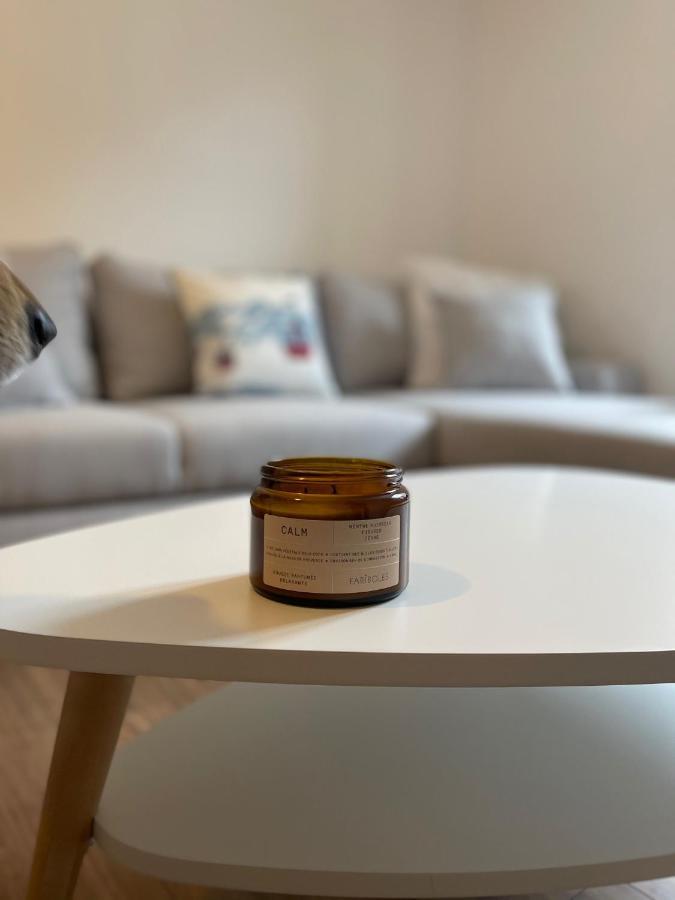 Appartement Idealement Situe 阿克斯莱泰尔姆 外观 照片